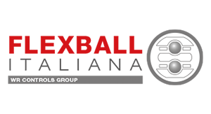 flexball