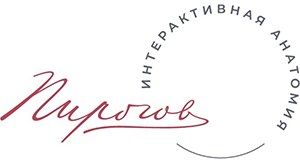 pirigov